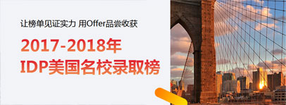 美国成功案例